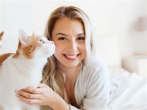 210 Best Unique Cat Names With Meaning .